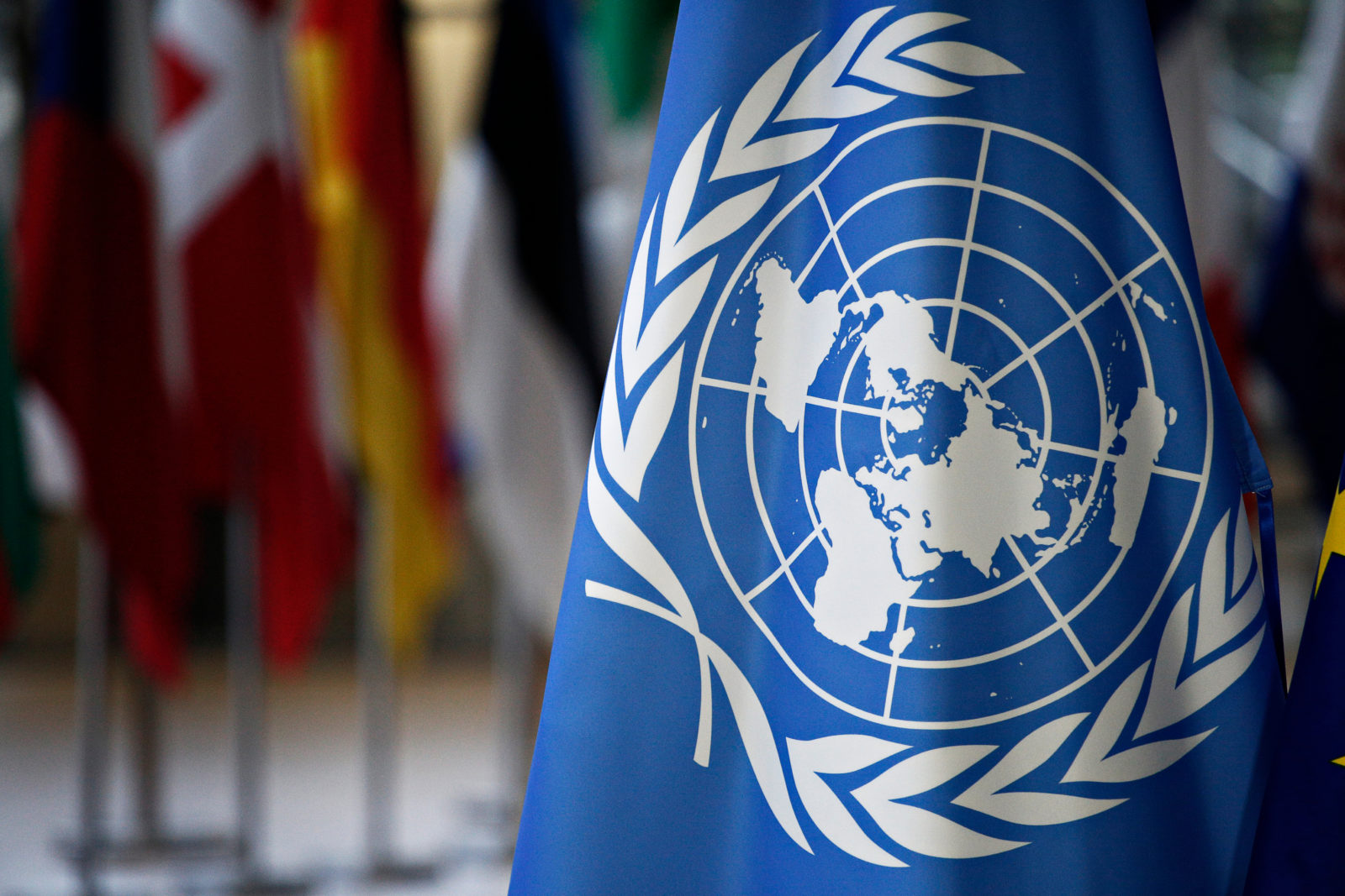 Независимый консультативный комитет по ревизии ООН провел 51-ю сессию