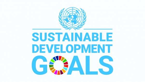 Рабочая группа по ЦУР и ключевым показателям устойчивого развития. Первая новостная рассылка