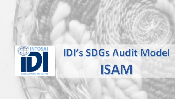 IDI Модель аудита ЦУР (ISAM)