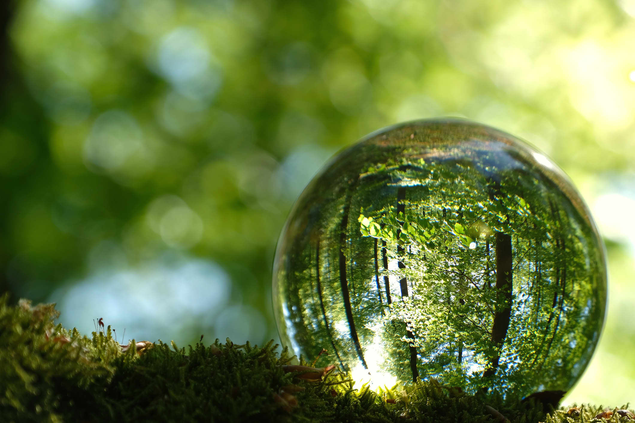 Two New Courses on Environmental Audit Available at U-INTOSAI