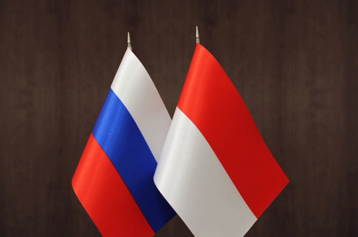 ВОА России и Индонезии обменялись опытом в сфере международных связей