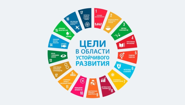 Курс Рабочей группы по ЦУР и ключевым показателям устойчивого развития «Аудит целей устойчивого развития. Опыт ВОА СНГ»