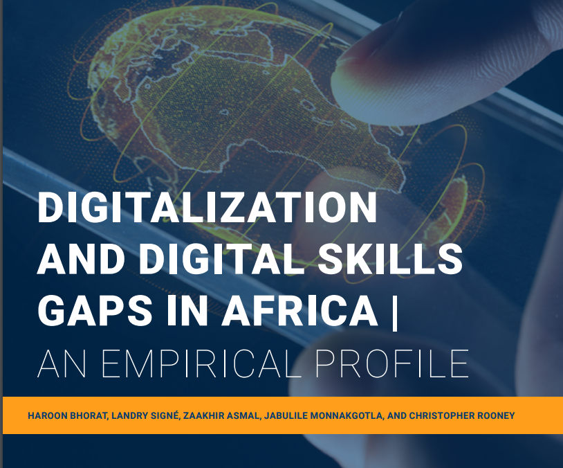 Digitalization and Digital Skills Gaps in Africa: An Empirical Profile