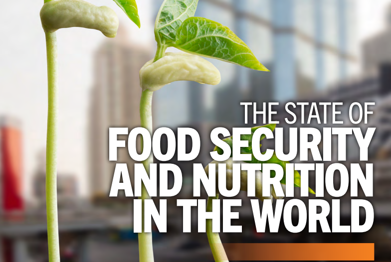 Состояние продовольственной безопасности и питания в мире: краткий обзор 2023 г.