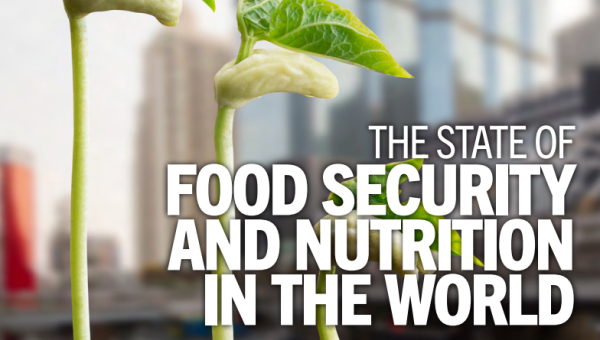 The State of Food Security and Nutrition in The World 2023: In Brief