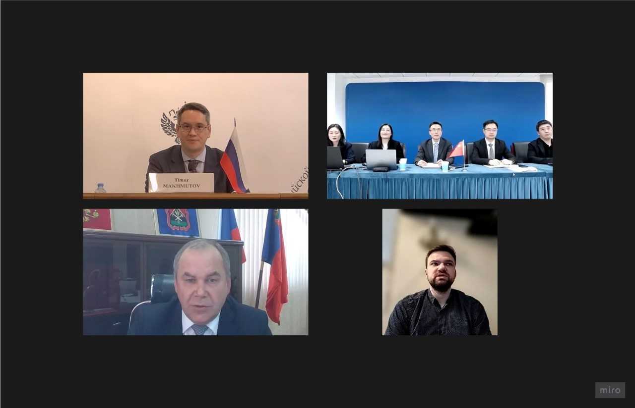 Audit of The Measures to Support Domestic Industry: Russian–Chinese Webinar Outcomes