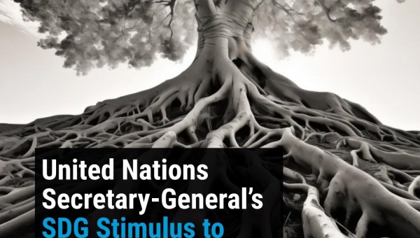 United Nations Secretary-General’s SDG Stimulus to Deliver Agenda 2030