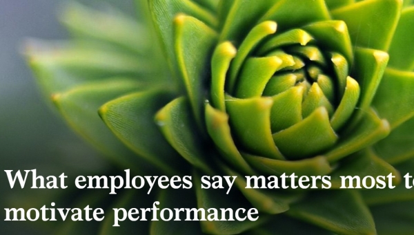 What Employees Say Matters Most to Motivate Performance