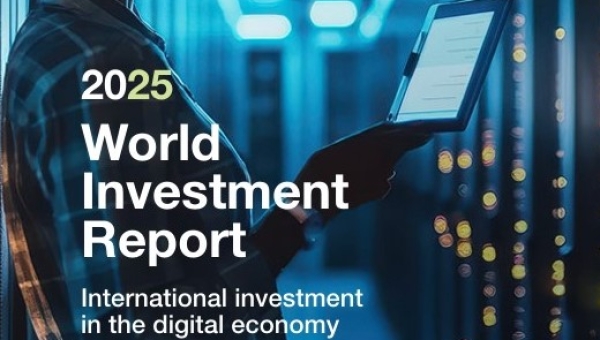 Доклад о мировых инвестициях 2025 г.: международные вложения в цифровую экономику