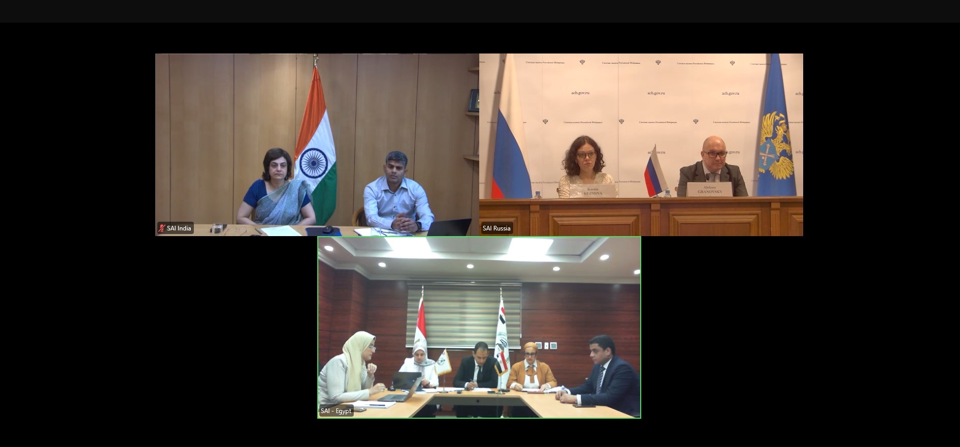 Accounts Chamber of the Russian Federation at BRICS SAIs seminar on promoting integrity