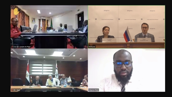 SAI Russia Shares Best Practices in Audit Quality Management with SAIs of African Countries