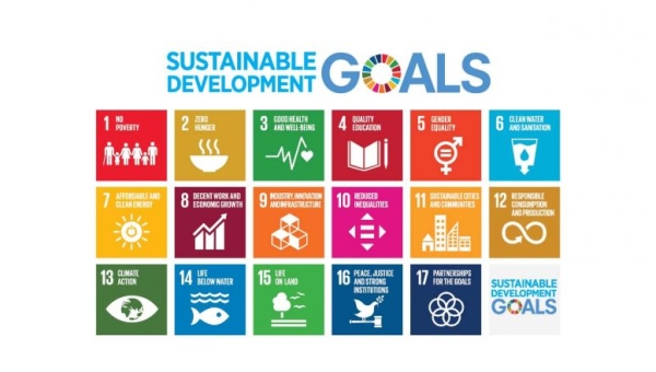 Sustainable Development Goals and Supreme Audit Institutions